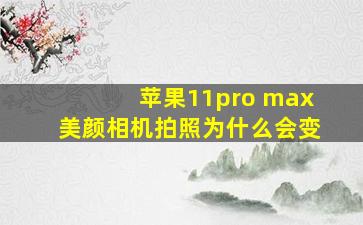 苹果11pro max美颜相机拍照为什么会变